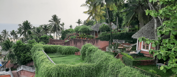 Somatheeram Ayurveda Village